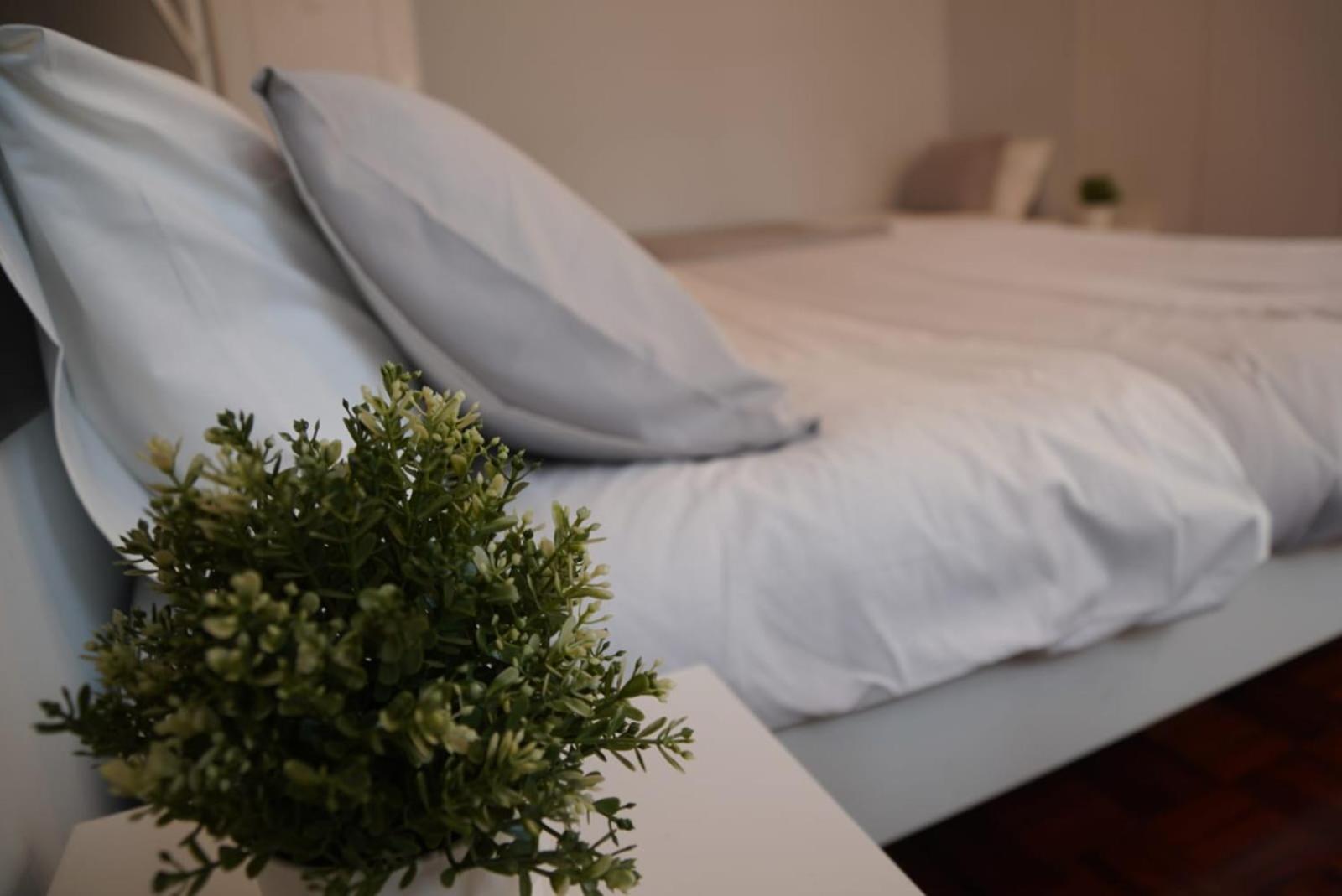 Bisengototo Homestay Lisboa Dış mekan fotoğraf